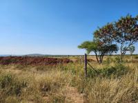 Smallholding for Sale for sale in Polokwane