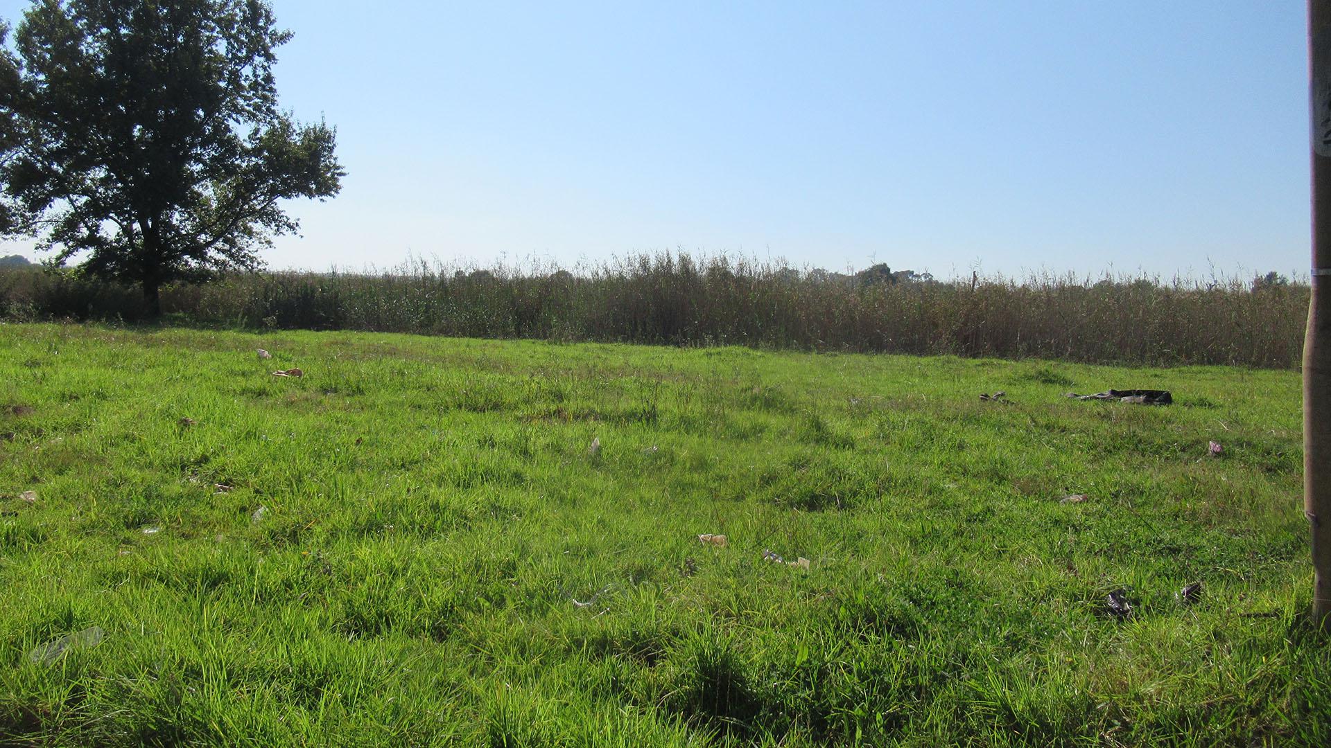 Front View of property in Klipspruit West