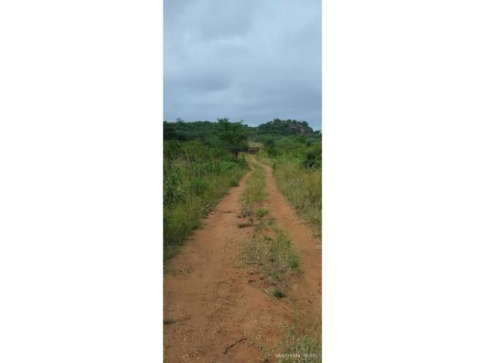 Farm for Sale For Sale in Malamulele - MR630239