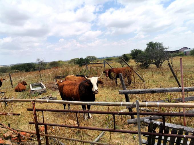 Smallholding for Sale For Sale in Tweefontein - MR630472