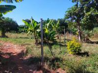  of property in Thohoyandou