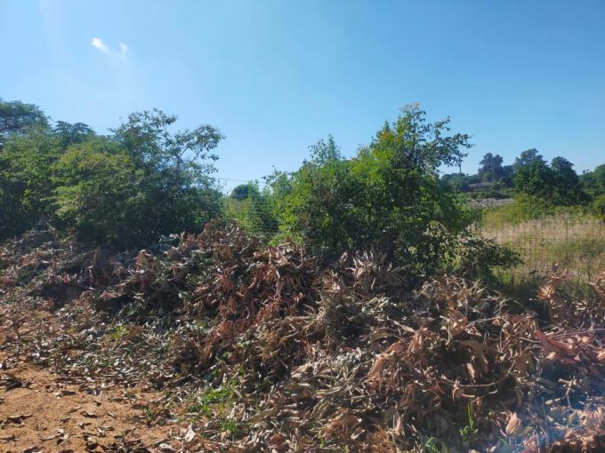 Land for Sale For Sale in Thohoyandou - MR631922