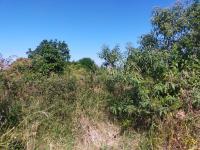  of property in Thohoyandou