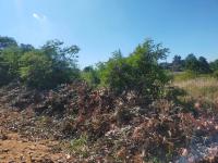  of property in Thohoyandou