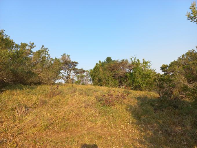 Land for Sale For Sale in Gonubie - MR632689