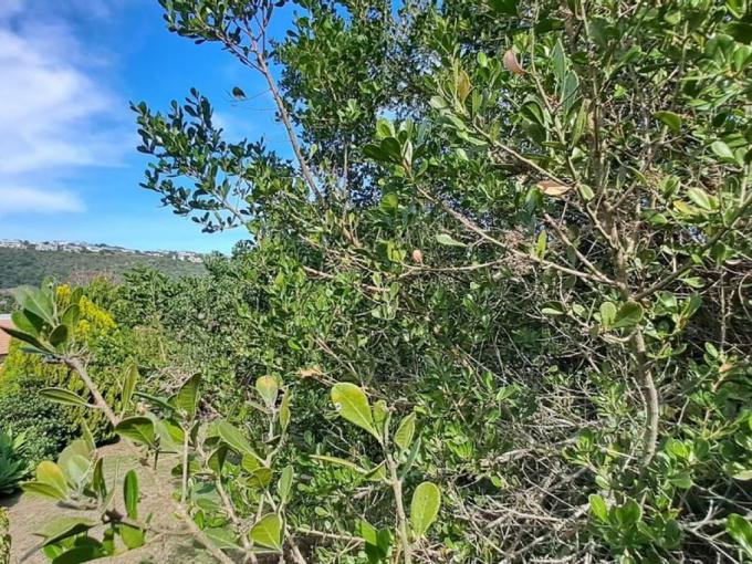 Land for Sale For Sale in Plettenberg Bay - MR632961