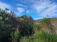  of property in Plettenberg Bay