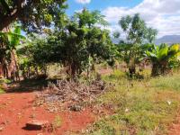  of property in Thohoyandou