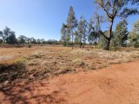  of property in Homestead Apple Orchards AH