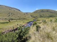  of property in Memel