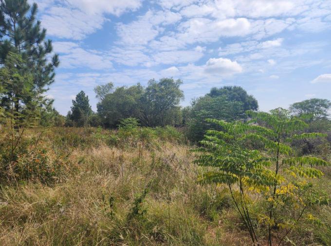 Smallholding for Sale For Sale in Kameeldrift - MR638816