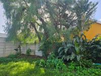 Backyard of property in Gordons Bay