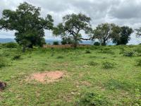  of property in Thohoyandou