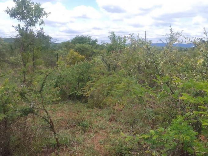 Land for Sale For Sale in Thohoyandou - MR639115