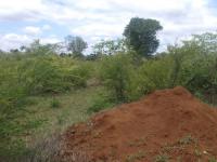  of property in Thohoyandou