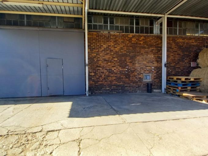 Commercial to Rent in Polokwane - Property to rent - MR640810