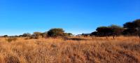 Land for Sale for sale in Polokwane