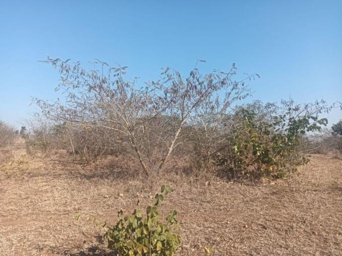 Land for Sale For Sale in Thohoyandou - MR641383