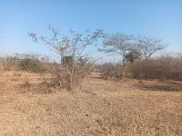  of property in Thohoyandou