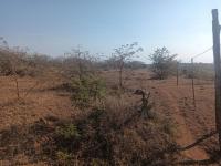  of property in Thohoyandou