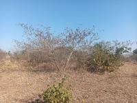  of property in Thohoyandou