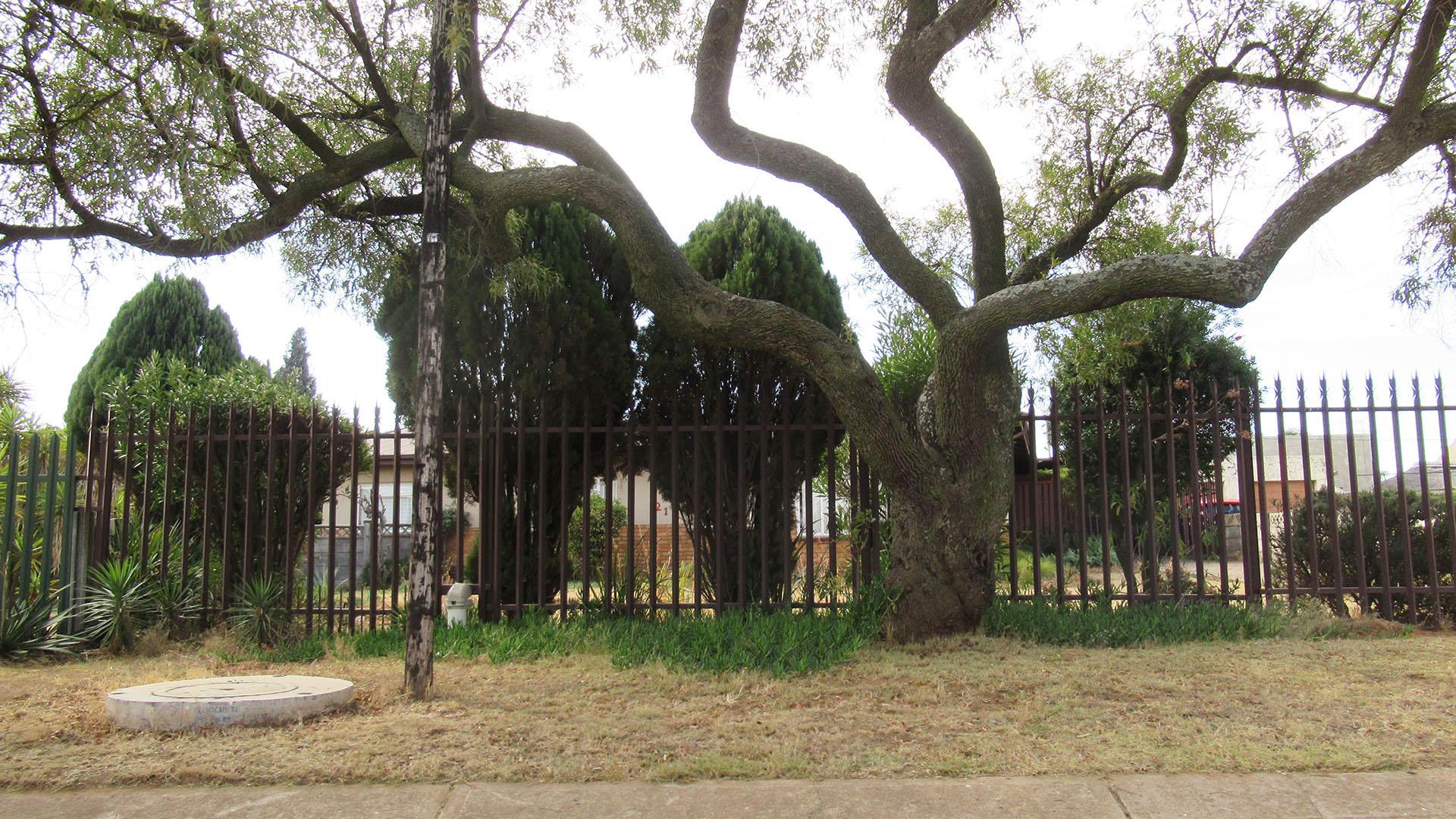 Front View of property in Witpoortjie