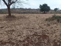  of property in Thohoyandou