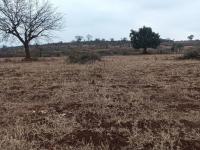  of property in Thohoyandou