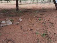  of property in Thohoyandou