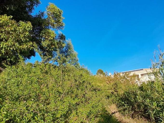 Land for Sale For Sale in Plettenberg Bay - MR642639