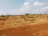  of property in Malamulele