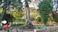 Garden of property in Kloof 