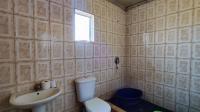 Bathroom 1 - 27 square meters of property in Homestead Apple Orchards AH