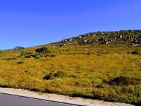  of property in Steenberg Golf Estate