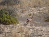  of property in St Helena Bay