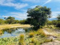  of property in Hoedspruit