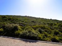  of property in Steenberg Golf Estate