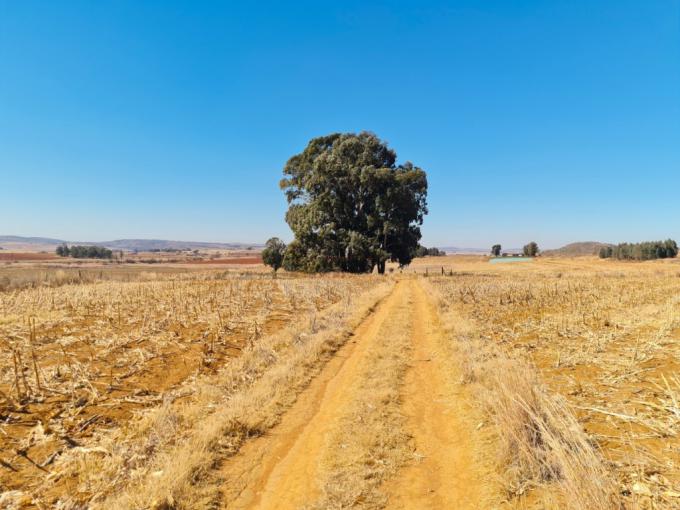 Farm for Sale For Sale in Heidelberg - GP - MR646065