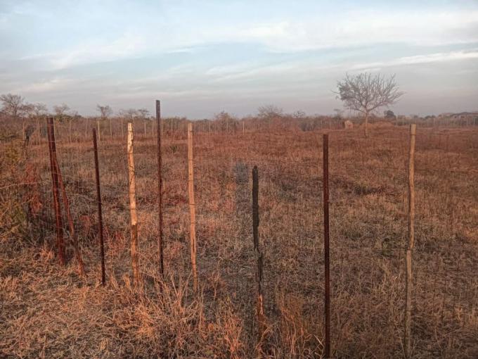 Smallholding for Sale For Sale in Thohoyandou - MR646126