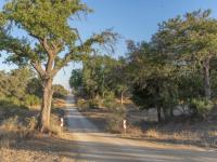  of property in Hoedspruit