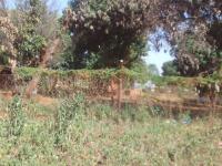  of property in Thohoyandou