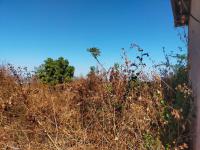  of property in Thohoyandou