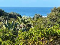  of property in Port Zimbali