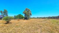  of property in Farm Haakdoornboom