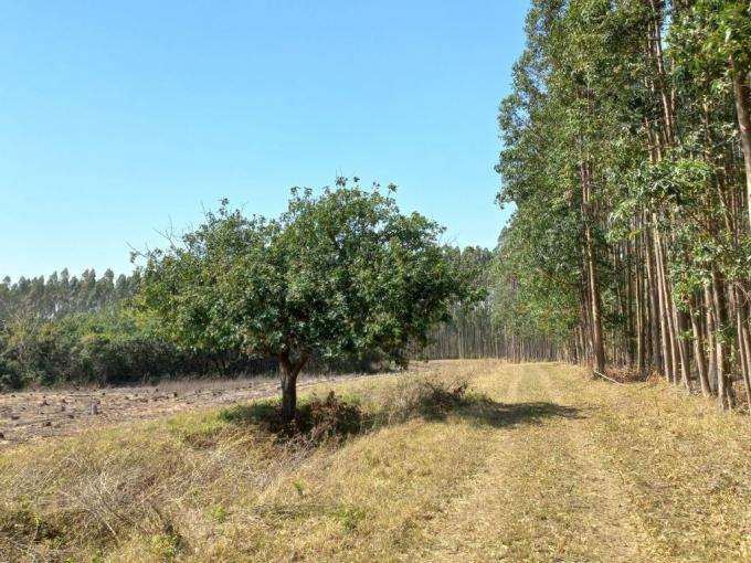 Smallholding for Sale For Sale in Mtubatuba - MR649205