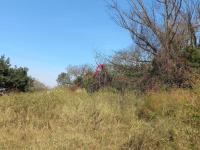  of property in Mtubatuba