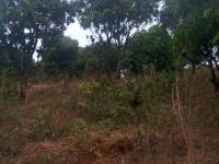  of property in Thohoyandou