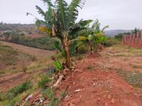  of property in Thohoyandou