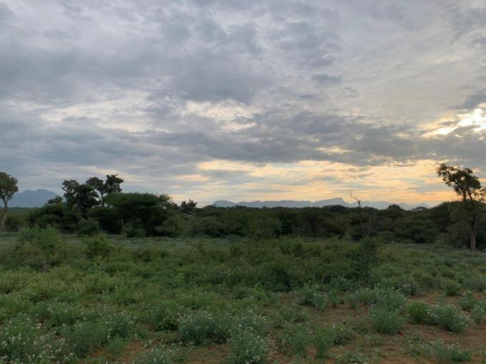 Land for Sale For Sale in Hoedspruit - MR649945