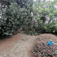  of property in Weltevreden Park